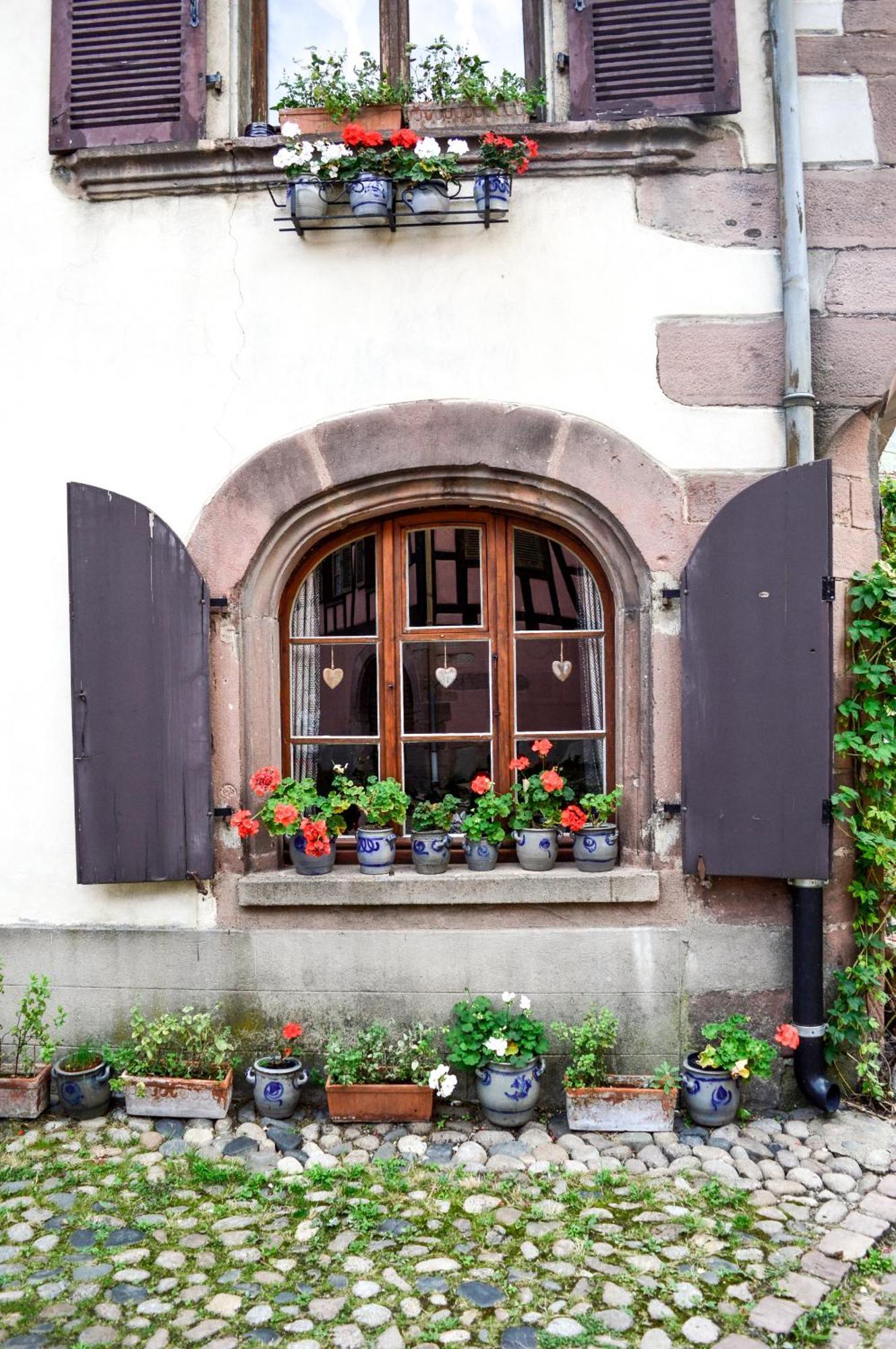 Chaud'Vin Appartement Kaysersberg-Vignoble Buitenkant foto