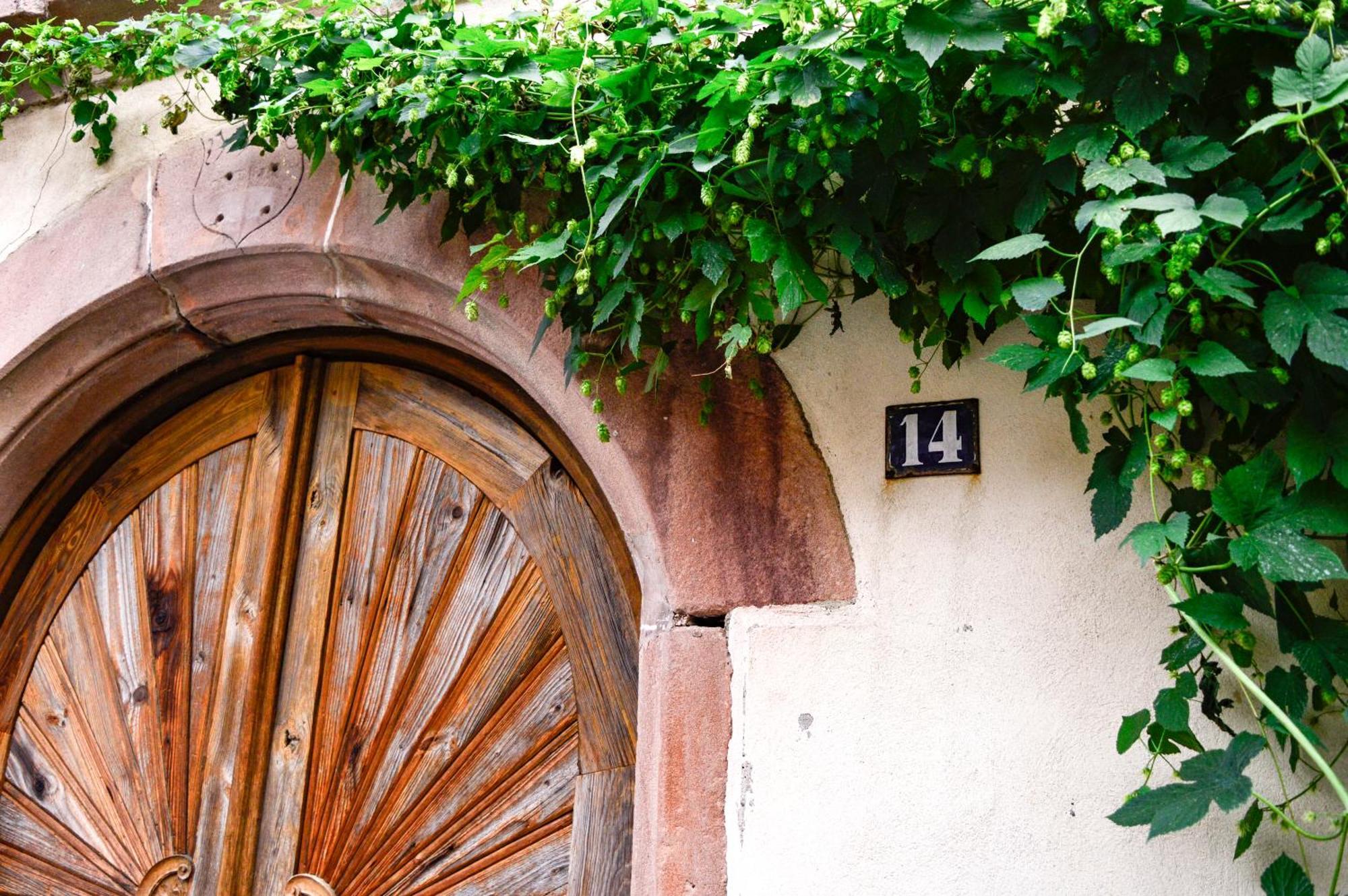 Chaud'Vin Appartement Kaysersberg-Vignoble Buitenkant foto